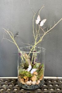 Terrarium pic 2