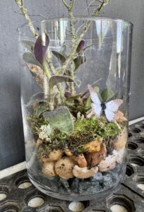 Terrarium pic 4